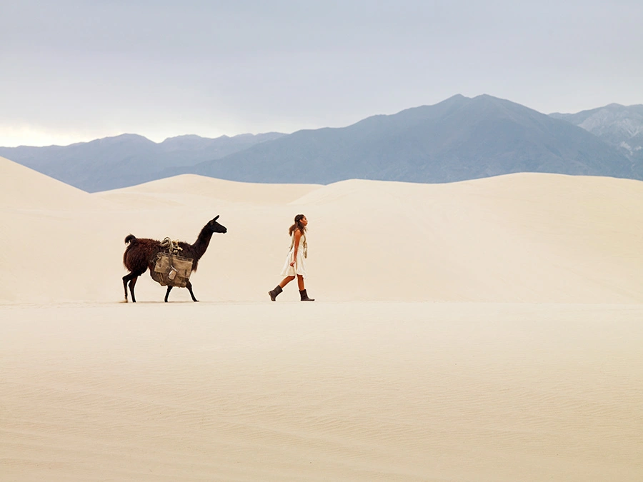 Creative personal branding portrait of a woman walking with a llama in a desert landscape photographed in Copenhagen