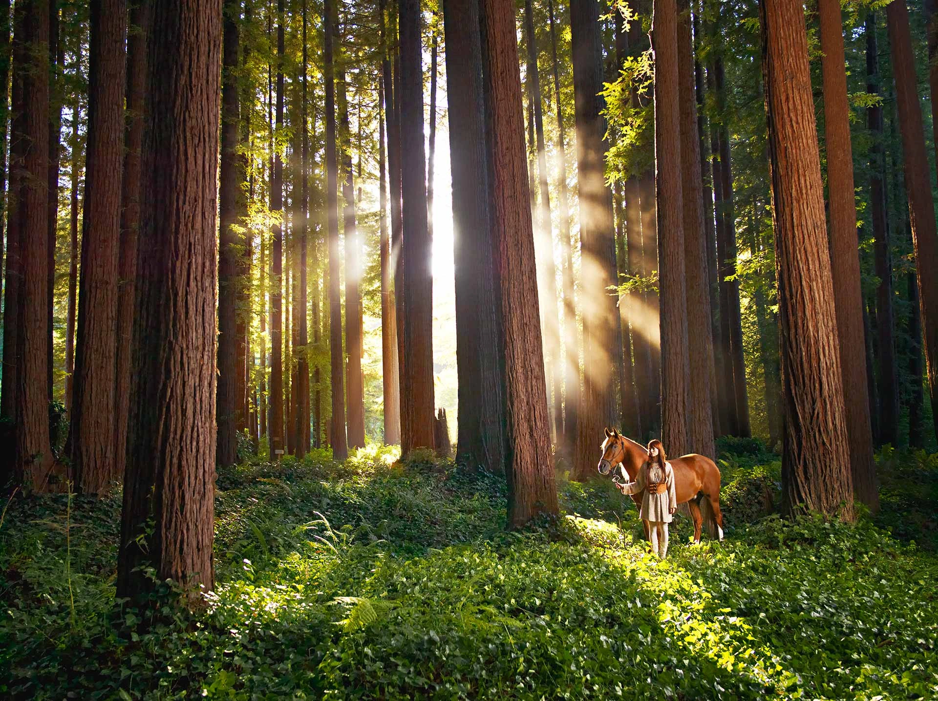 Epic storytelling personal branding portrait of a woman with a horse in a sunlit forest in Copenhagen